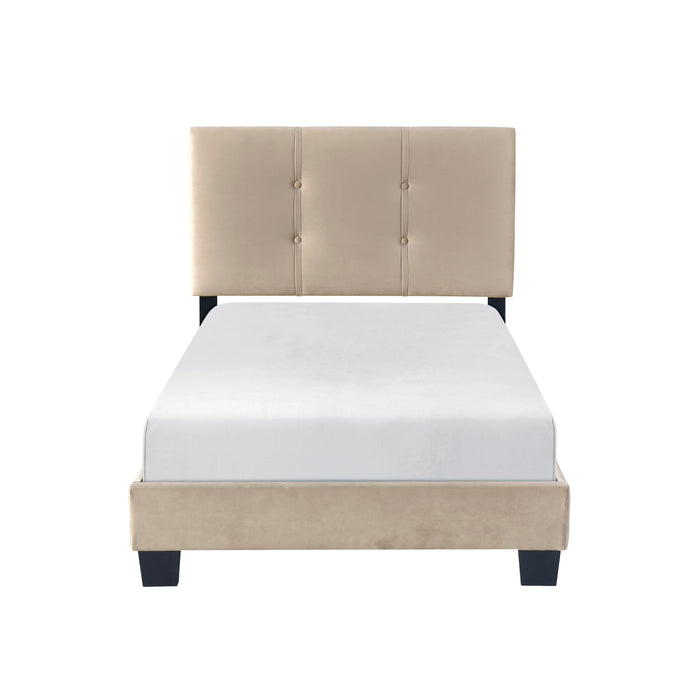 Newberry Twin Platform Bed in Brown - 1350BRT-1