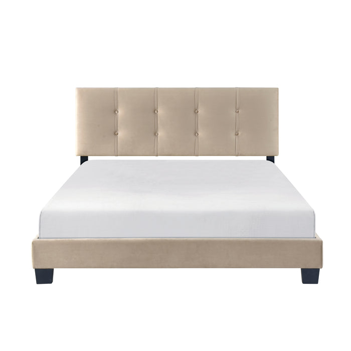 Newberry Queen Platform Bed in Brown - 1350BR-1