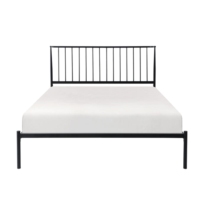 Augusta Queen Platform Bed in Black - 1630-1