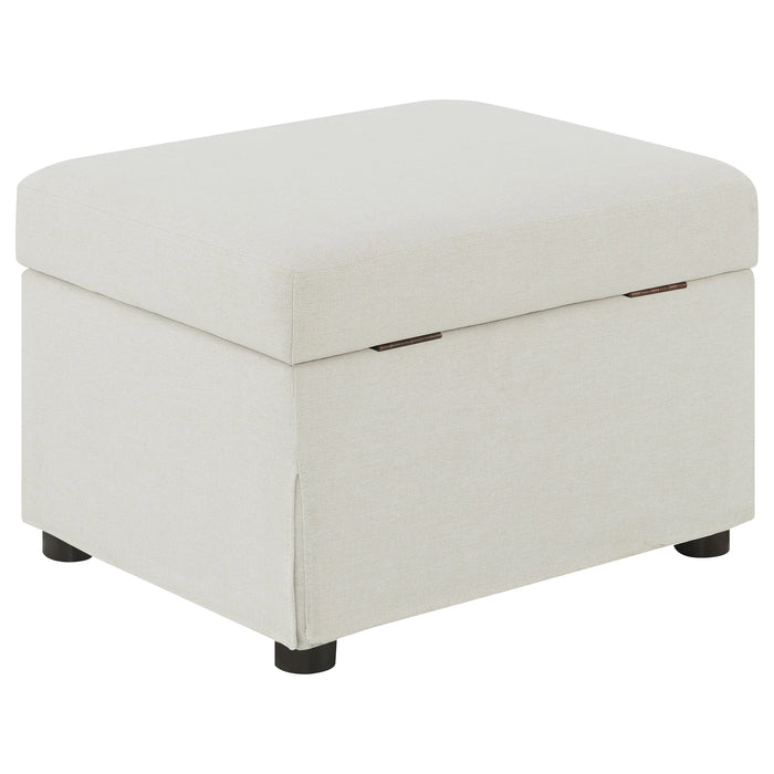 Winter Storage Ottoman