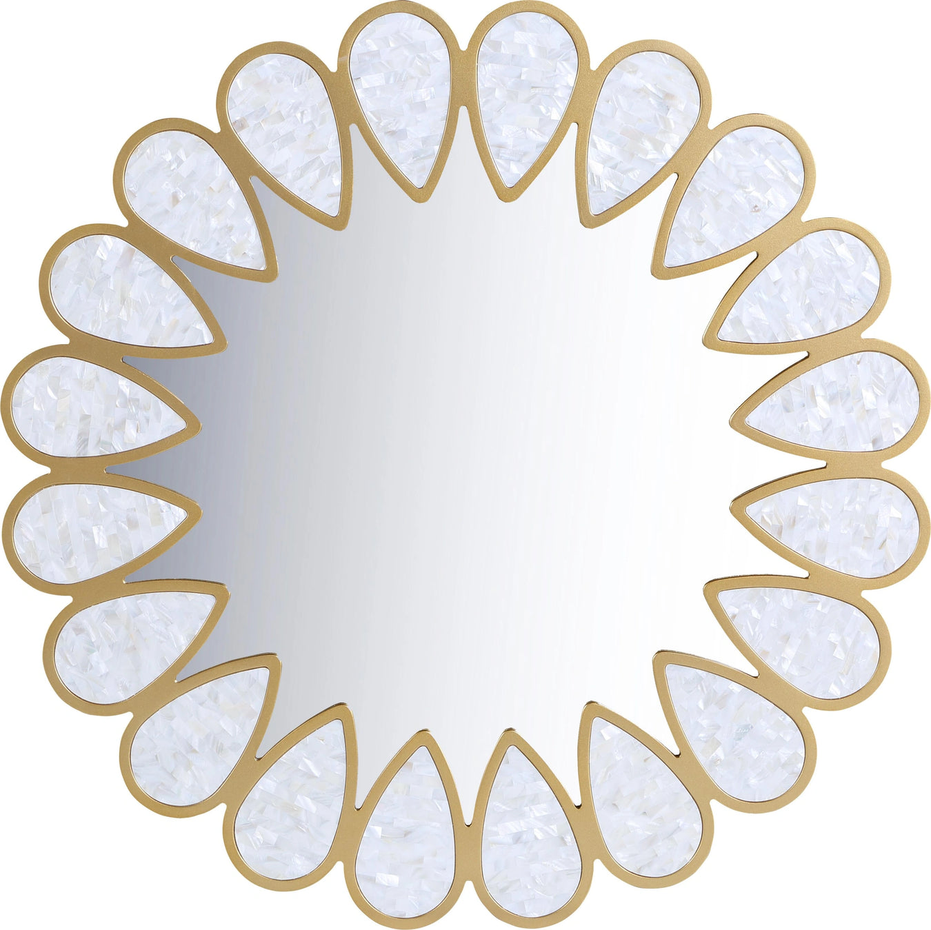 Wood / Glass / Shell